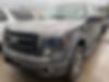 1FTFW1ET0DKG20889-2013-ford-f-150-0