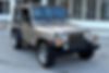 1J4FA49S53P374001-2003-jeep-wrangler-2