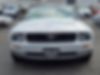 1ZVHT84N365144911-2006-ford-mustang-1