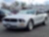 1ZVHT84N365144911-2006-ford-mustang-2