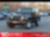 1J4FA24159L711351-2009-jeep-wrangler-0