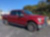 1FTEW1EP2GFA97306-2016-ford-f-150-0