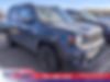 ZACNJDD11MPM09196-2021-jeep-renegade-0