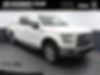 1FTEW1EF8GFD15739-2016-ford-f-150-0