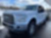1FTEW1E81FFB01952-2015-ford-f-150-0
