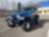 1J4FA69S33P333605-2003-jeep-wrangler-2