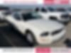 1ZVFT80NX75362116-2007-ford-mustang-0