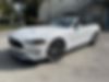1FATP8UH3K5133208-2019-ford-mustang-1