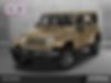1C4BJWFGXJL853843-2018-jeep-wrangler-jk-unlimited-0