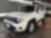 ZACNJABB0LPL53955-2020-jeep-renegade-0