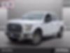 1FTEW1EP2HKD07167-2017-ford-f-150-0
