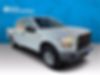 1FTEW1C86GFA17162-2016-ford-f-150-0