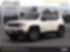 ZACNJDC11MPN32224-2021-jeep-renegade-0