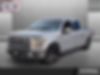 1FTEW1CP2GFA96501-2016-ford-f-150-0