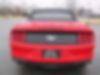 1FATP8UHXK5161555-2019-ford-mustang-2