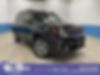 ZACNJBD17LPM00859-2020-jeep-renegade-0