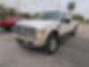 1FTSW2BR2AEB30476-2010-ford-f-250-2