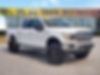1FTEW1EP1KFB93405-2019-ford-f-150-0