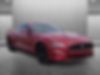 1FA6P8TH1K5120245-2019-ford-mustang-2