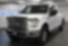 1FTEX1EP5FKD93519-2015-ford-f-150-1