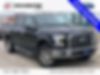 1FTEW1EP1GKE83576-2016-ford-f-150-0