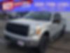 1FTFW1ET6BFB15008-2011-ford-f-150-0