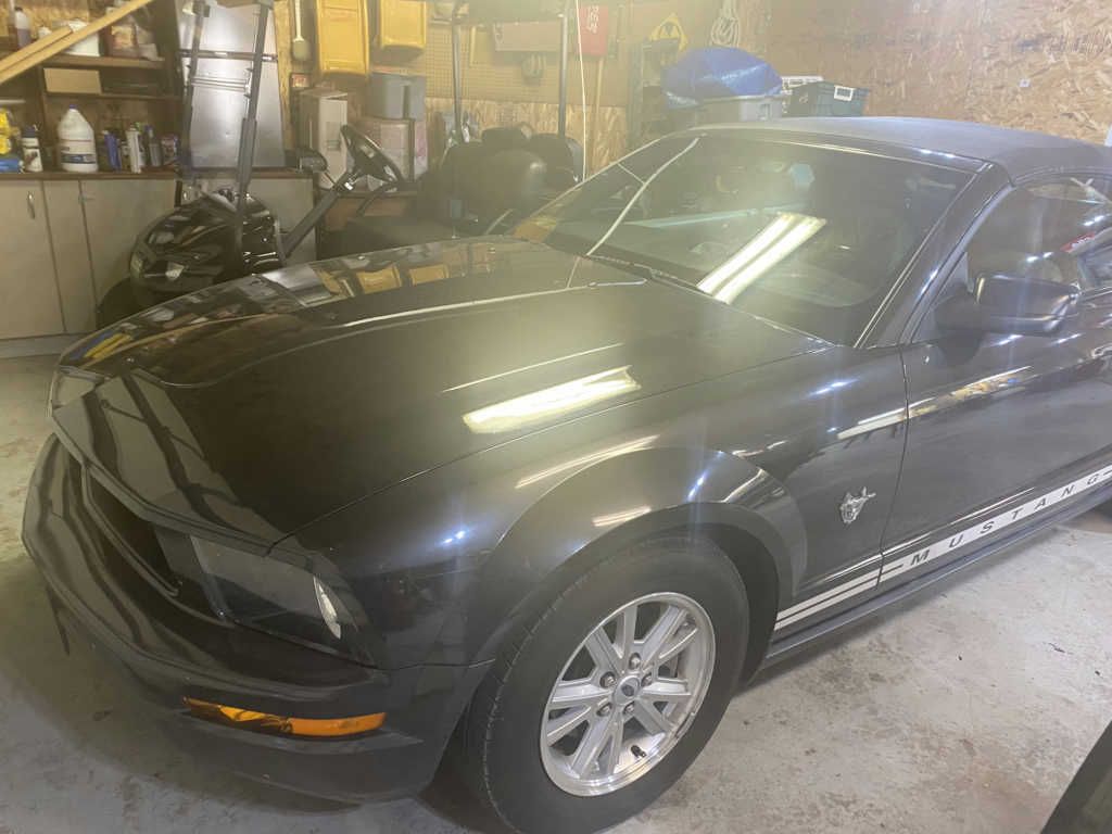 1ZVHT84N995105194-2009-ford-mustang-0