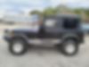 1J4FY29S0SP223954-1995-jeep-wrangler-2