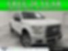 1FTEW1EF9HKC02309-2017-ford-f-150-0