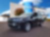 5TDDZRFH1KS935035-2019-toyota-highlander-1