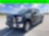 1FTEW1EP9GFB94681-2016-ford-f-150-0