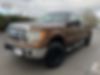 1FTFW1ET9CKD52861-2012-ford-f-150-2