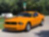 1ZVHT80N185193436-2008-ford-mustang-0