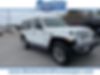 1C4HJXEN9LW114139-2020-jeep-wrangler-unlimited-0