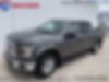 1FTEW1EP8GFA92448-2016-ford-f-150-2