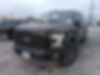 1FTEW1CPXFKD15324-2015-ford-f-150-0