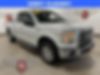 1FTEX1EP5FKD97490-2015-ford-f-150-0