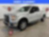 1FTEX1EP5FKD97490-2015-ford-f-150-2