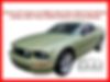 1ZVHT82H065160691-2006-ford-mustang-0