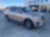 1FMJK1JT1LEA43925-2020-ford-expedition-2