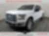 1FTEW1EF8GFD14848-2016-ford-f-150-0