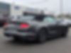 1FATP8FF9K5171361-2019-ford-mustang-1