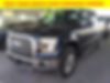 1FTEW1EF4GFD18721-2016-ford-f-150-0