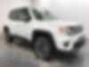 ZACNJDD16MPN33397-2021-jeep-renegade-0