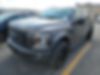 1FTEW1CP4GKF03967-2016-ford-f-150