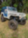 1J4FY29SXPP201354-1995-jeep-wrangler
