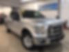 1FTEW1EF4GFA15308-2016-ford-f-150-0