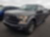1FTEW1CF3GKF10318-2016-ford-f-150-0