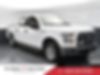 1FTEW1E85HKC66655-2017-ford-f-150-0