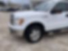 1FTFW1ET0DFD85208-2013-ford-f-150-0